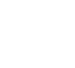 logo_small_white